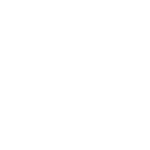 logo-Veda
