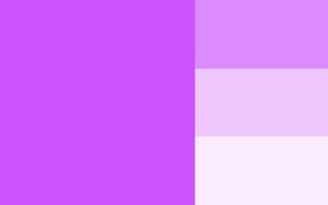 merkl-color-orchid-CC53FF